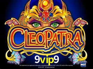 9vip9 - Aplicativo Móvel