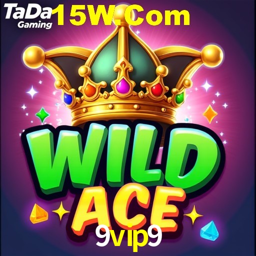 9vip9.com